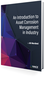 Picture of An Introduction to Corrosion Management in Industry (E-book)